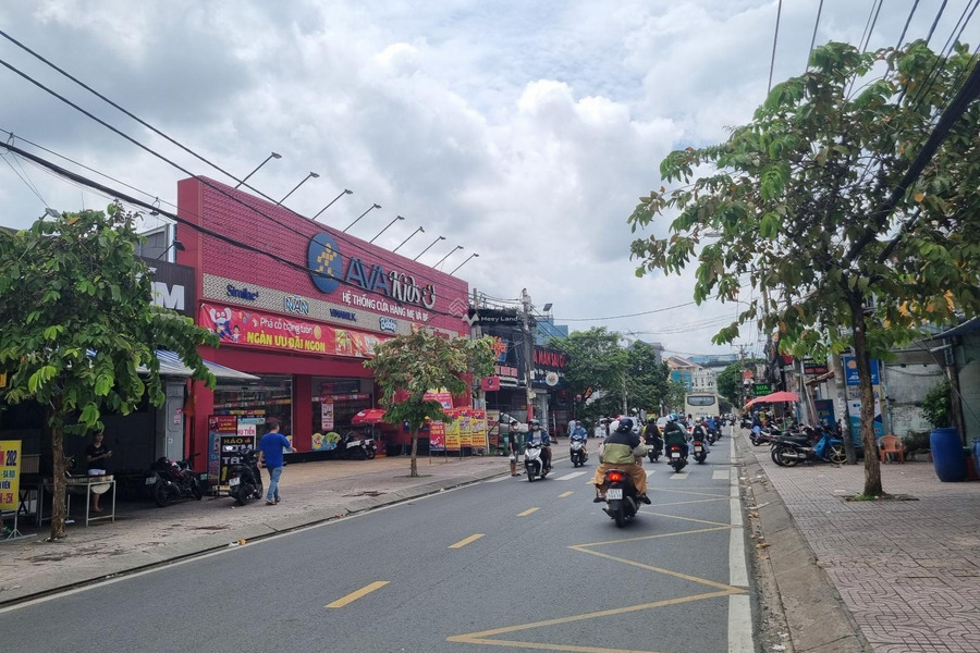 Cần cho thuê nhà ở nằm ngay Phùng Khắc Khoan, Hồ Chí Minh, giá thuê sang tên 160 triệu/tháng diện tích là 330m2 khu vực đông đúc-01