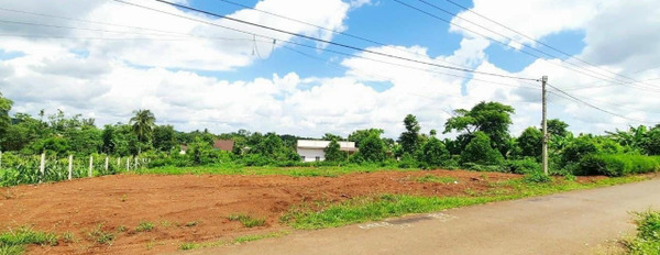 580 triệu bán đất tổng diện tích 200m2 vị trí mặt tiền tọa lạc trên Chơn Thành, Bình Phước-03