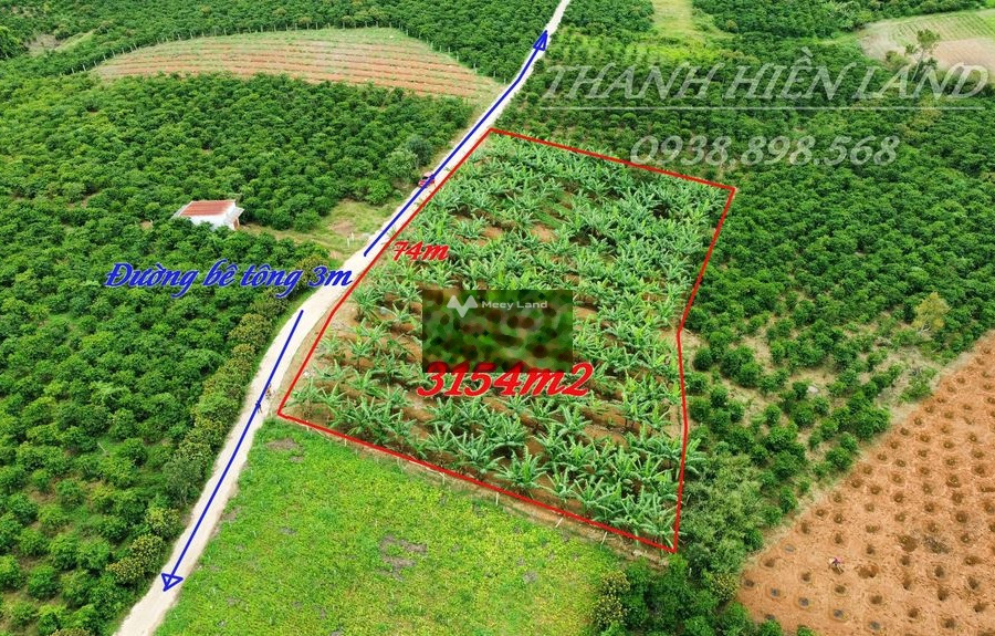 1.08 tỷ bán đất với diện tích chuẩn 3150m2 vị trí mặt tiền tọa lạc ở Ninh Gia, Lâm Đồng-01