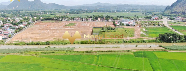 Ở Hồ Chí Minh, Lam Sơn bán đất 1.6 tỷ có một dt sàn 100 m2-03