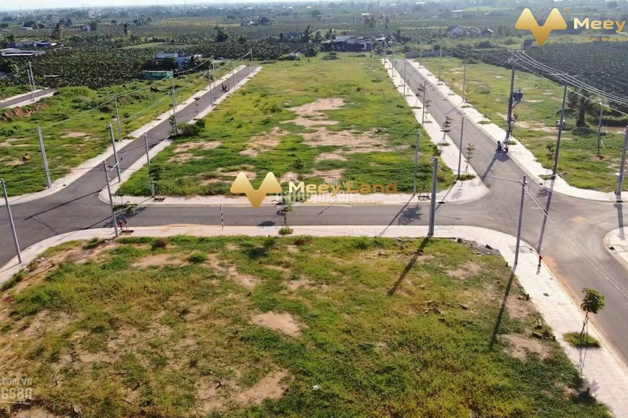 1 tỷ bán đất có dt tiêu chuẩn 100 m2 vị trí đẹp ở Đường Xoài Quỳ, Tỉnh Bình Thuận-01