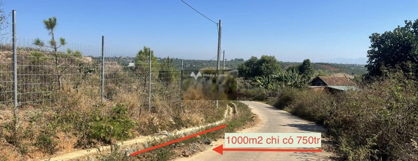 Khoảng 750 triệu bán đất diện tích tiêu chuẩn 1000m2 mặt tiền tọa lạc ngay tại Di Linh, Lâm Đồng-02