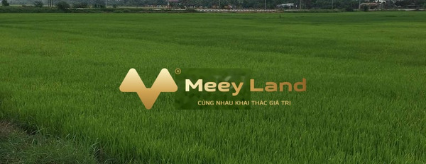 Bán đất vị trí thuận tiện ngay tại Long Khánh, Đồng Nai-03