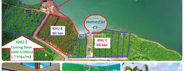 Bán đất 1.59 tỷ Nguyễn Văn Cừ, Bảo Lộc có diện tích tiêu chuẩn 138m2-02