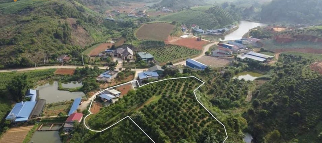Bán đất tại Mộc Châu, Sơn La. Diện tích 6800m2, giá 1 tỷ