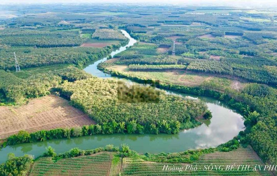 Tân Hòa, Đồng Phú bán đất giá bán tốt nhất chỉ 350 triệu diện tích chung là 1000m2-01