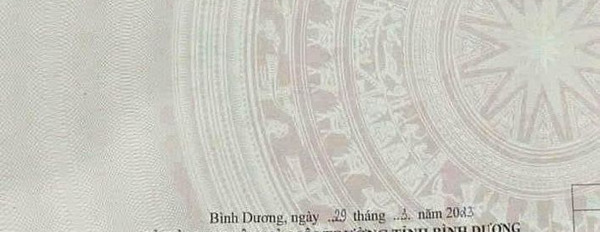 Bán đất thị xã Dĩ An tỉnh Bình Dương, giá 2,2 tỷ-03