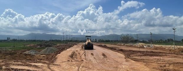 Bán đất 1.7 tỷ Hoài Nhơn, Bình Định có diện tích chung 10m2-02