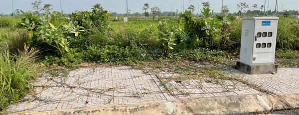 Bán đất tại Hương Lộ 2, Đồng Nai, diện tích 80m2-02