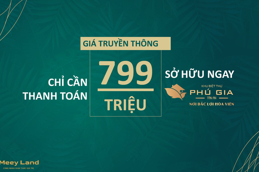 Biệt thự chỉ từ 799 triệu sở hữu ngay (30%) ngay thành phố Tân An phường 4-01