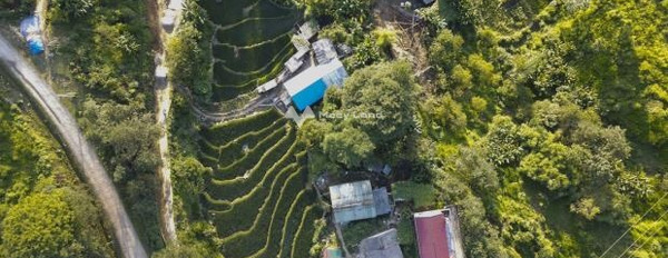 Giá bán 1.2 tỷ bán đất có diện tích quy ước 194m2 tọa lạc ngay tại Y Tý, Lào Cai-03