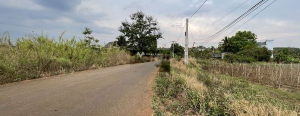 Từ 25 triệu bán đất với diện tích khoảng 4000m2 vị trí mặt tiền tọa lạc tại Đắk R'La, Đắk Nông-03