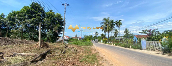 Bán đất có diện tích là 4400 m2 vị trí thuận lợi ngay ở Đường Tỉnh Lộ 8, Huyện Khánh Vĩnh-02