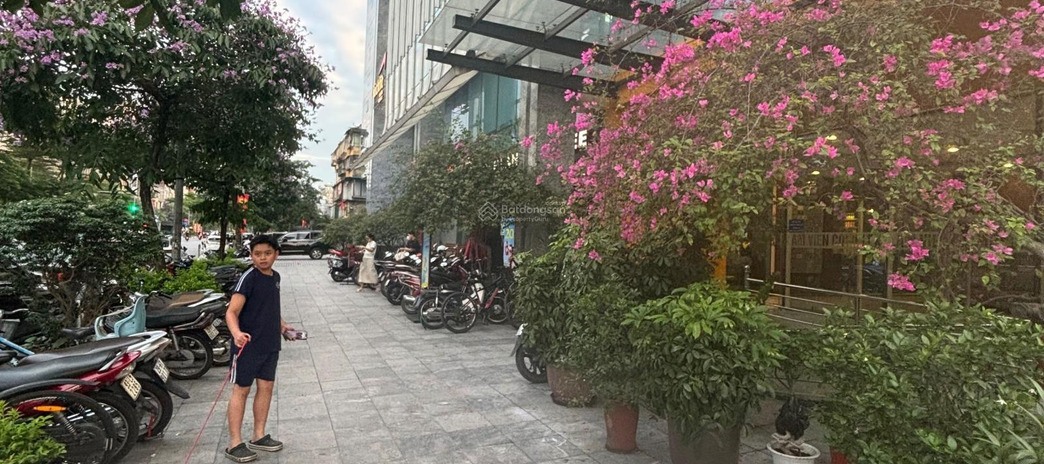 Bán nhanh căn hộ chung cư duplex penthouse TSQ Làng Việt Kiều Châu Âu, diện tích: 760 m2 