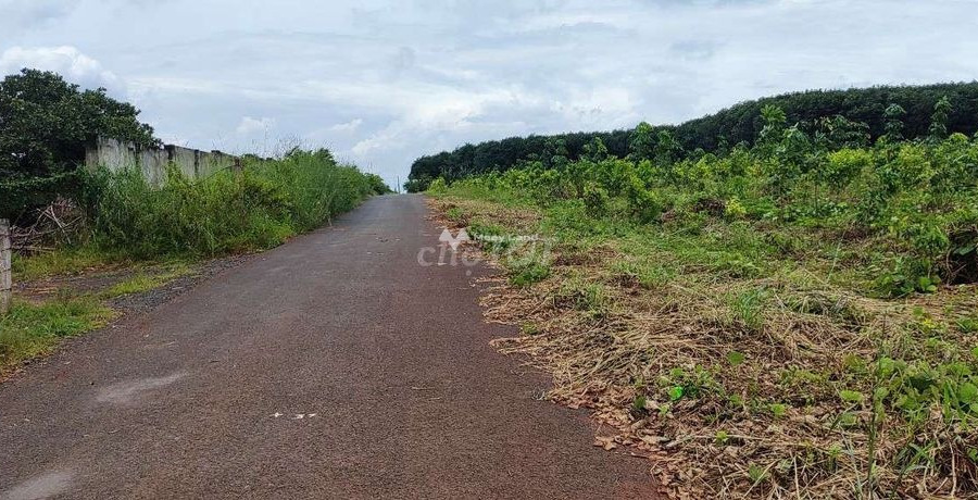 Phước Tân, Bà Rịa-Vũng Tàu bán đất giá bán chốt nhanh từ 1.7 tỷ Diện tích nền 1000m2-01