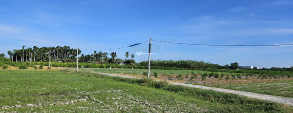 Phước Đông, Gò Dầu 420 triệu bán đất, hướng Nam diện tích 120m2-02
