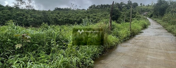 Quảng Tân, Đắk Nông bán đất giá bất ngờ từ 1.95 tỷ Có tổng diện tích 17000m2-03