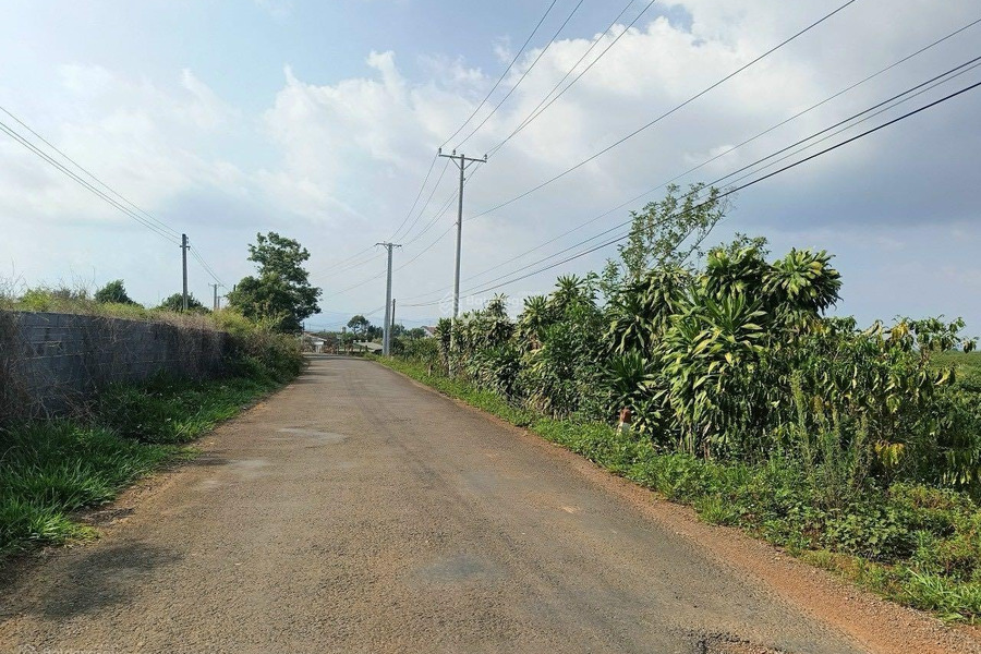 Lộc Phát, Bảo Lộc bán đất giá bán giao động 690 triệu diện tích thực khoảng 1500m2-01