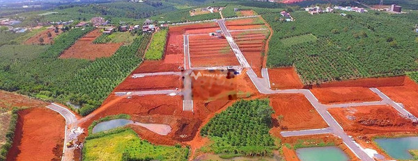 Giá bán siêu rẻ chỉ 1.2 tỷ, Bán đất có một diện tích sàn 200m2 vị trí đẹp ở Lộc Phát, Bảo Lộc liên hệ liền-02