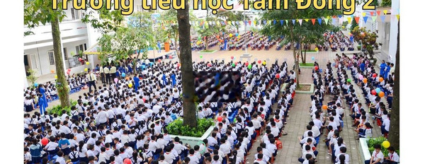 BÁN LÔ ĐẤT DIỆN TÍCH KHỦNG 1/ RỊNH THỊ MIẾNG ,THỚI TAM THÔN , HÓC MÔN -03