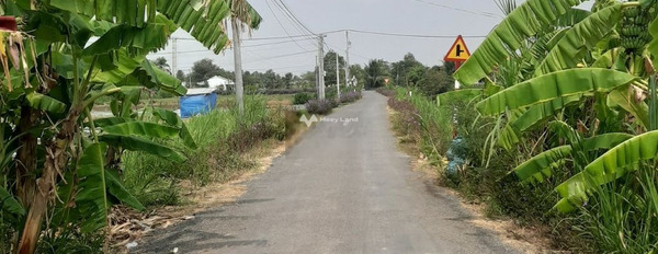 Bán đất đường đá xanh tại ấp Bình Cách, xã Yên Luông, Gò Công Tây-02
