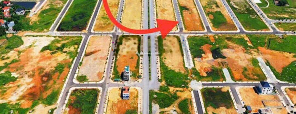 Bán đất giá 6,65 tỷ, diện tích 350m2 tại Đinh Tiên Hoàng, Vĩnh Yên-02