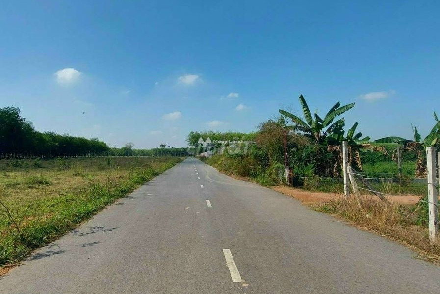 Vị trí đặt gần Lộc Thành, Lộc Ninh bán đất giá bán liền chỉ 820 triệu có diện tích sàn 1003m2-01