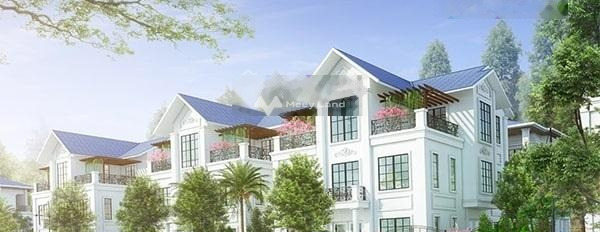 Chính chủ bán mảnh đất, 242m2 giá công khai chỉ 4.84 tỷ vị trí mặt tiền tọa lạc tại Mê Linh, Hà Nội giao thông thuận lợi-03