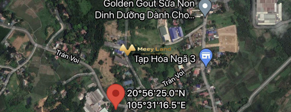 Bán lô đất 2256m2 tại Trán Voi, Phú Mãn, Quốc Oai, giá đầu tư-03