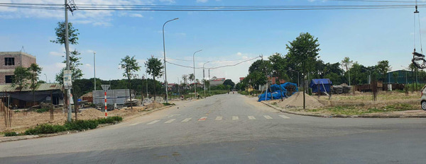 Nằm tại Thị Trấn Lim, Tiên Du bán đất giá chỉ từ chỉ 3.75 tỷ với diện tích chuẩn 91m2-03