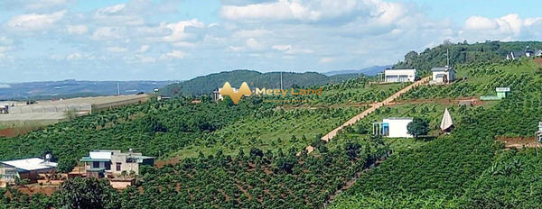 Vị trí thuận lợi tọa lạc trên Đường Điện Biên Phủ, Tỉnh Lâm Đồng bán đất, giá cực mềm từ 1.01 tỷ, hướng Tây Bắc dt tổng 550m2-02
