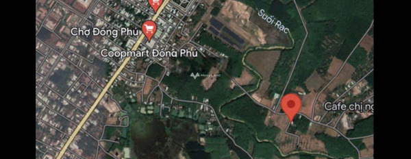 Bán đất 680 triệu Tân Lợi, Đồng Phú có diện tích quy ước 1567m2-02