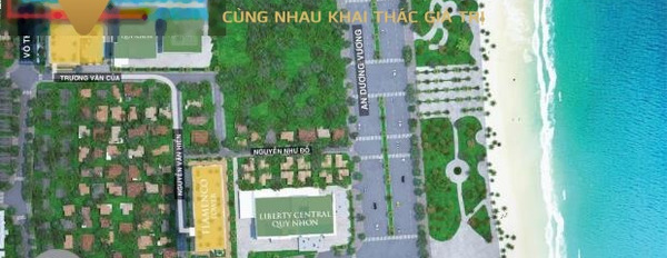 Bán căn hộ mặt tiền tọa lạc ngay trên Nguyễn Văn Cừ, Bình Định, giá bán phải chăng 1.89 tỷ với dt 45 m2-03