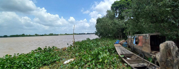 Bán đất view sông Bình Hòa, Vĩnh Cửu 4000 m2 chỉ 25 tỷ vị trí thuận lợi-03