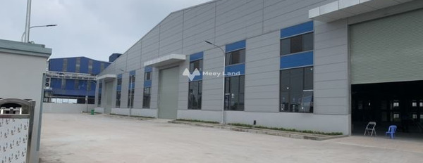 Trong Quốc Lộ 37, Phú Bình cho thuê kho bãi 6000m2 thuê ngay với giá công khai chỉ 510 triệu/tháng với đường 24 mét cảm ơn bạn đã đọc tin-03