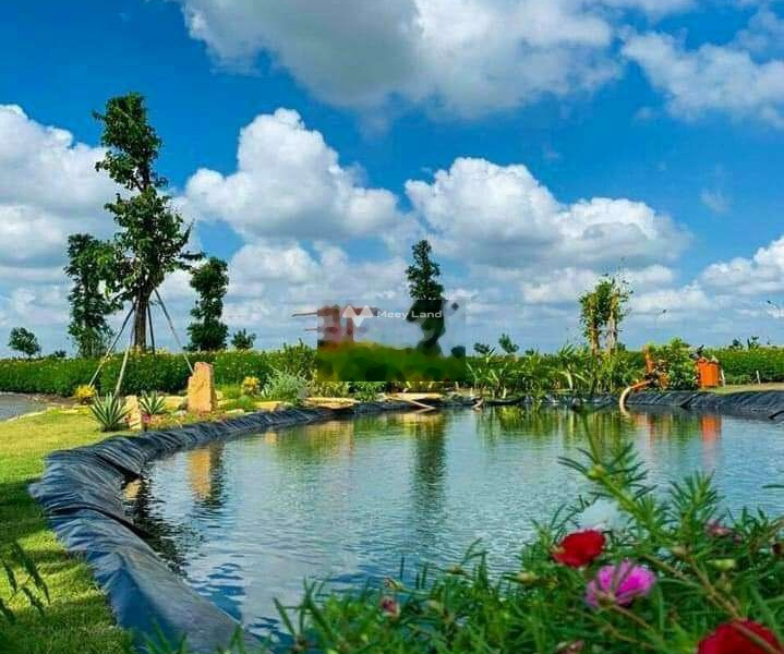 Từ 1.6 tỷ bán đất với diện tích 80m2 nằm tại Nguyễn Văn Tạo, Phước Vĩnh Đông-01