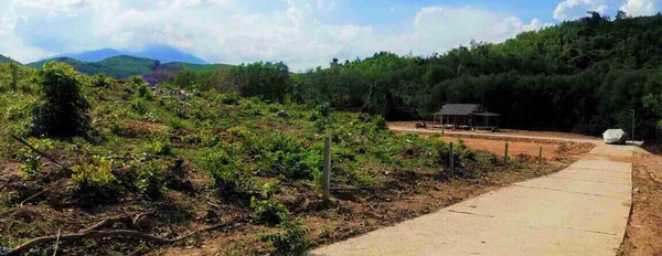 Đại hạ giá đất quy hoạch cây lâu năm, thôn Nước Nhĩ, xã Khánh Phú, huyện Khánh Vĩnh-02