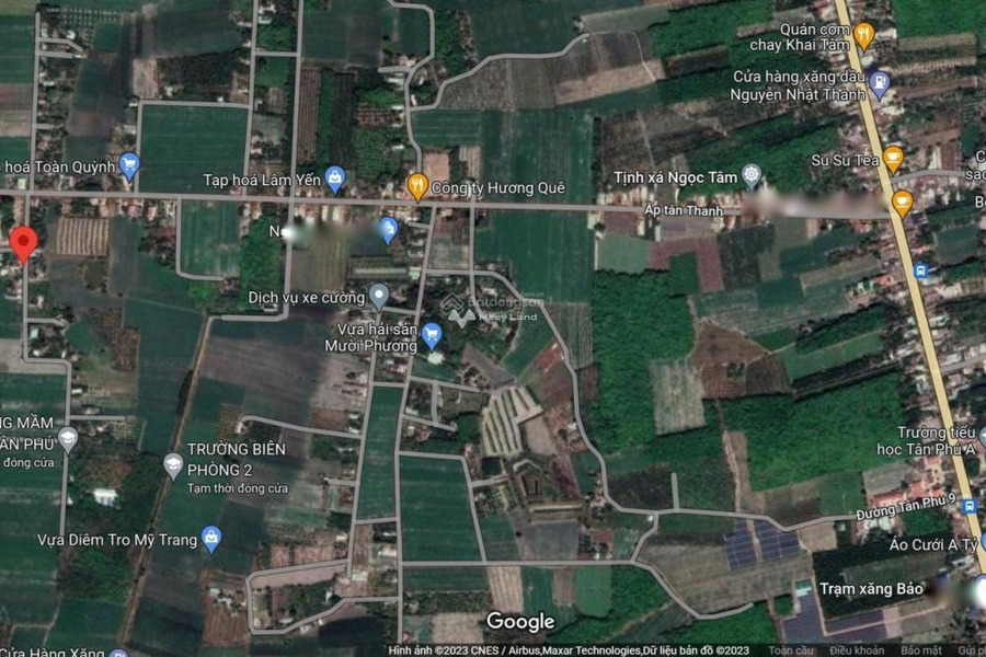 Nằm ngay trên Tân Phú, Tây Ninh bán đất, giá hạt dẻ 750 triệu diện tích rộng 161m2-01