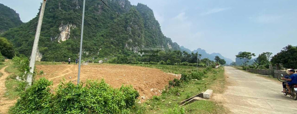 Vị trí mặt tiền ngay ở Thanh Sơn, Hòa Bình bán đất giá bán đề cử từ 10.5 tỷ diện tích khoảng 10m2-02