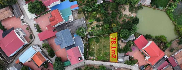 Tại Hiền Ninh, Hà Nội bán đất 1.15 tỷ diện tích tổng 78.1m2-02
