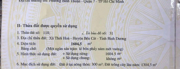 Giá bán bàn giao 48 triệu cần bán kho bãi vị trí nằm ở Thới Hòa, Bến Cát diện tích chuẩn là 8m2 hỗ trợ mọi thủ tục miễn phí-02