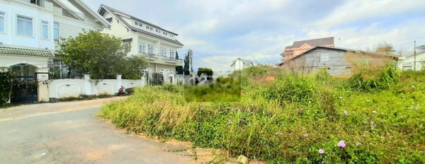Nằm ngay Phường 8, Lâm Đồng bán đất giá bán khủng 8 tỷ tổng diện tích 202m2-03