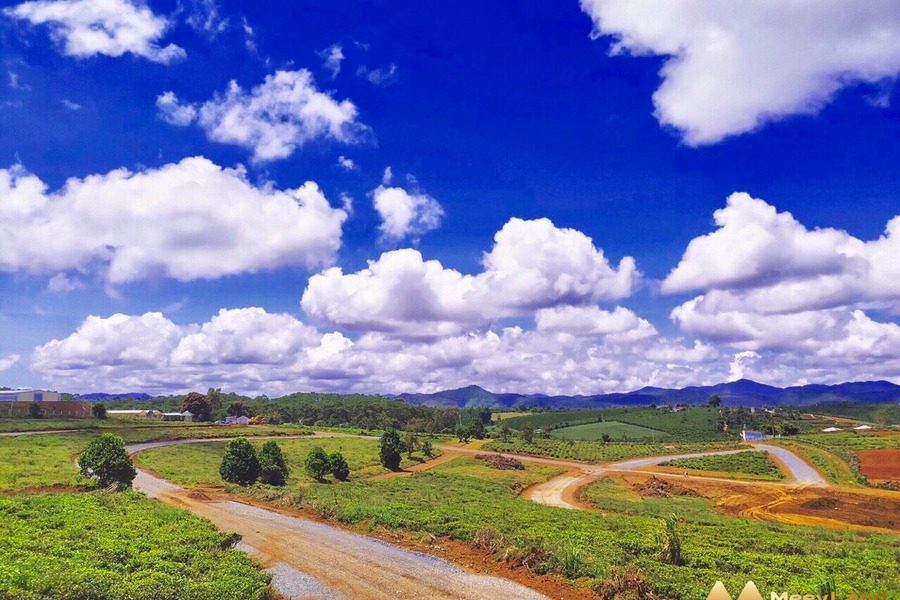 Chuyển nhượng đất làm farm stay ngay khu du lịch đồi chè Tâm Châu giá chỉ 5 triệu/m2-01