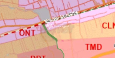 Bán 3000m2 đất phủ hồng tại Xuân Lộc-02