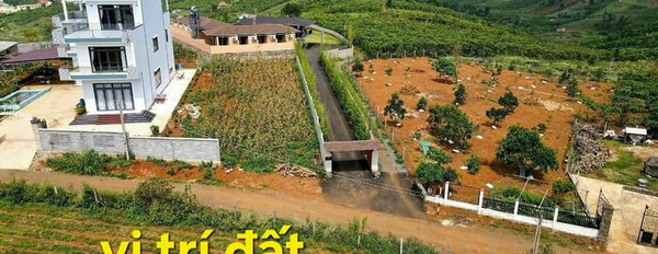 Cần bán đất huyện Đơn Dương, tỉnh Lâm Đồng giá 4,5 tỷ-02
