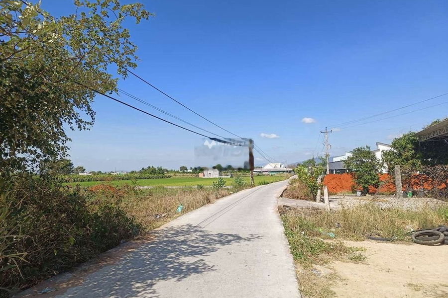 Nằm trong mức 2.1 tỷ bán đất có diện tích chung 408m2 mặt tiền tọa lạc ngay ở Hàm Thuận Bắc, Bình Thuận-01