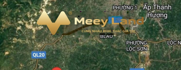 Bán đất vị trí thuận lợi tọa lạc tại Đinh Công Tráng, Lâm Đồng-03