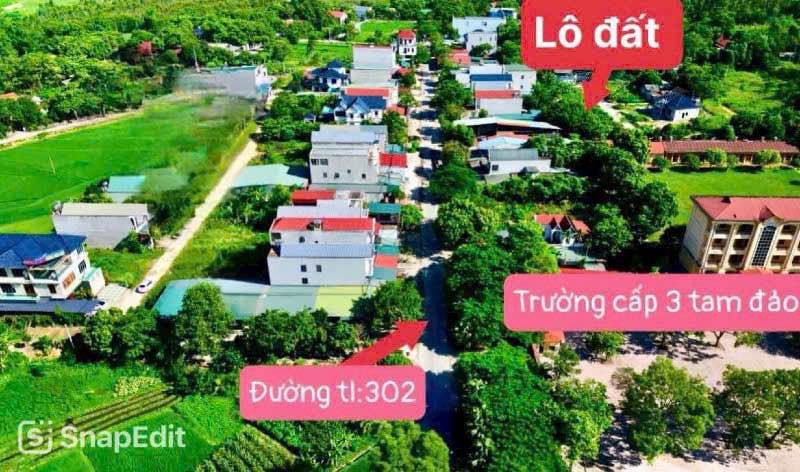 Bán đất huyện Tam Đảo tỉnh Vĩnh Phúc giá 2.0 tỷ-1