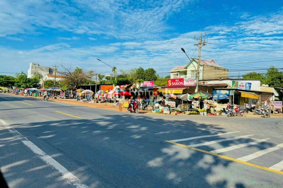 Ngay Bình Long, Bình Phước bán đất 0.8 triệu diện tích tiêu chuẩn 1145m2-01