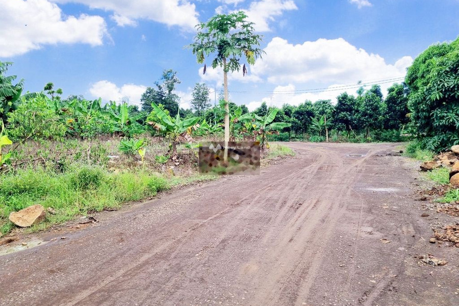 Vị trí thuận lợi nằm tại Trảng Bom, Đồng Nai bán đất giá bán siêu khủng 495 triệu diện tích thực khoảng 1000m2-01